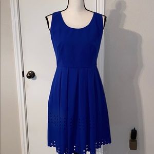 Beautiful Royal blue Brixon Ivy dress Size M